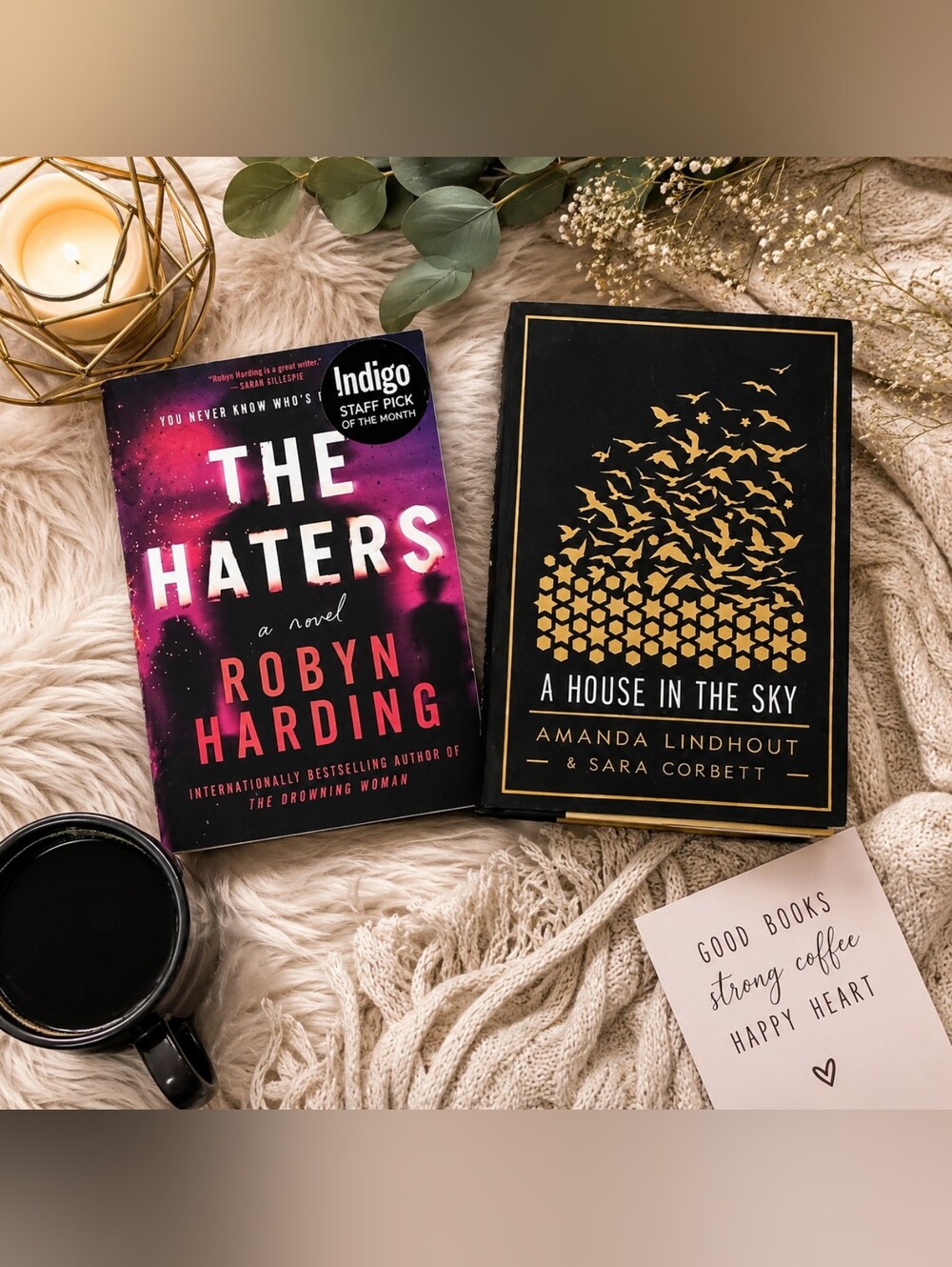 A House In The Sky— The Haters by Robyn Harding
